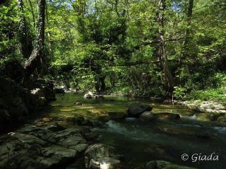 Lungo il fiume Neva tra Zuccarello e Erli