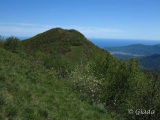 Il monte Alpe est visto dall'ovest