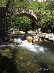 Lungo il fiume Neva tra Zuccarello e Erli il ponte romano di Bassi