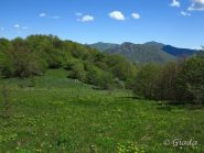 L'uscita dal bosco sul crinale tra valle Neva e Pennavaire