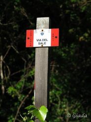 Una delle numerose paline della Via del Sale