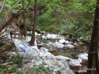 Lungo il fiume Neva tra Cerisola e Erli