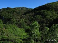 L'antico sentiero si inoltra verso il fiume Neva