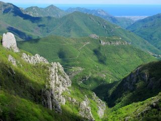 Affioramenti rocciosi