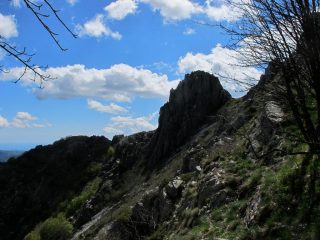 Quasi sulla dorsale