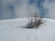 Sulla cima 