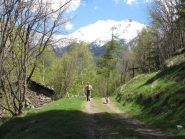 salendo lungo la strada