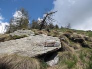 il bivio bocciarda-rocca del pelvo