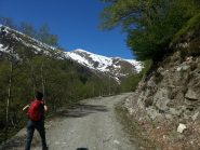 la Bocciarda sullo sfondo