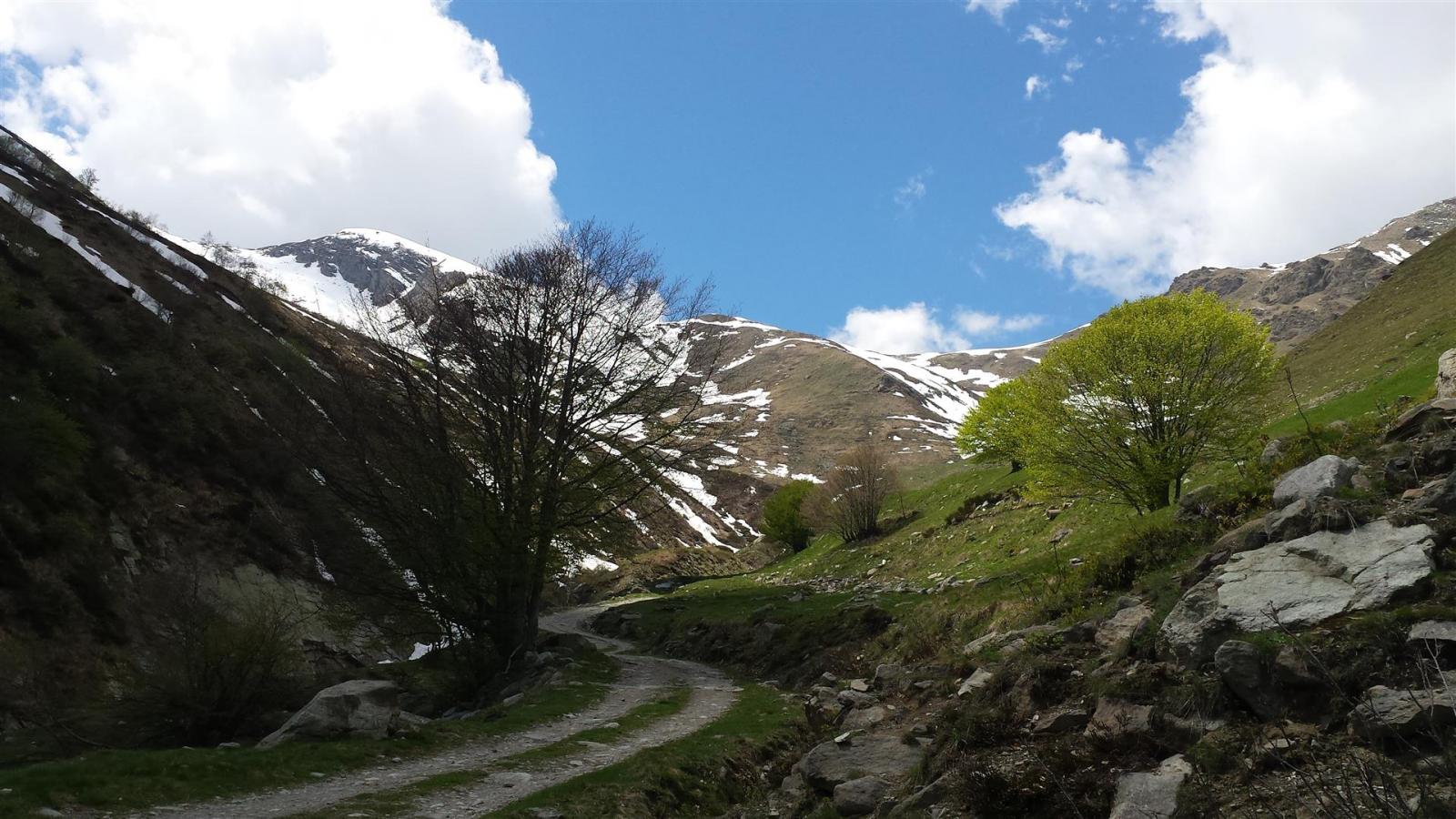 verso il Colle Roussa