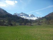 magnifico quadretto dalla partenza