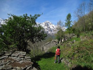 A Perebella
