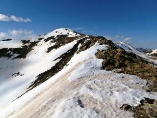 la cresta finale un po' magra