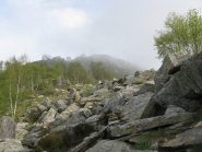 in uscita dal bosco verso la cima