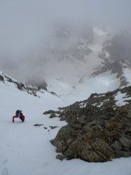 schiarita