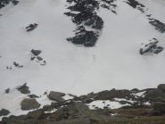 e' sbucata nel bel mezzo della neve