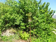 la palina di segnaletica alla partenza