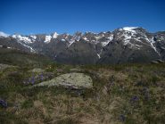 Fioritura primaverile