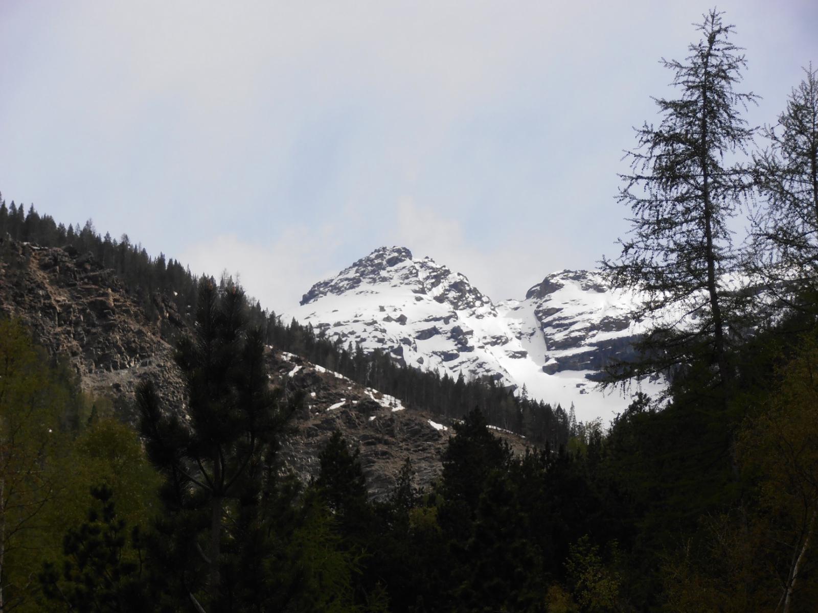 01 - Monte Avic dal Bosco Ponton