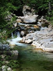 Lungo il fiume Neva 2