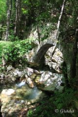 Il ponte alla confluenza del rio Gazzo nel Neva