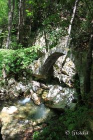 Il ponte alla confluenza del rio Gazzo nel Neva