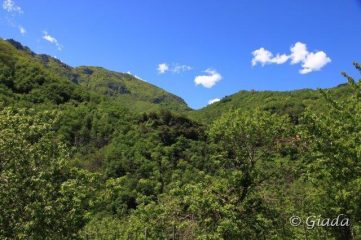 Si esce dal fiume per salire verso Cerisola e i suoi campi coltivati