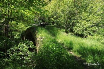 Un altro bellissimo ponte medievale