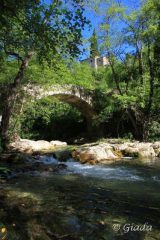 Il ponte prima di Bassi