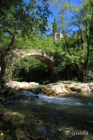 Il ponte prima di Bassi