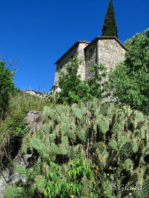 Salendo alla frazione Bassi