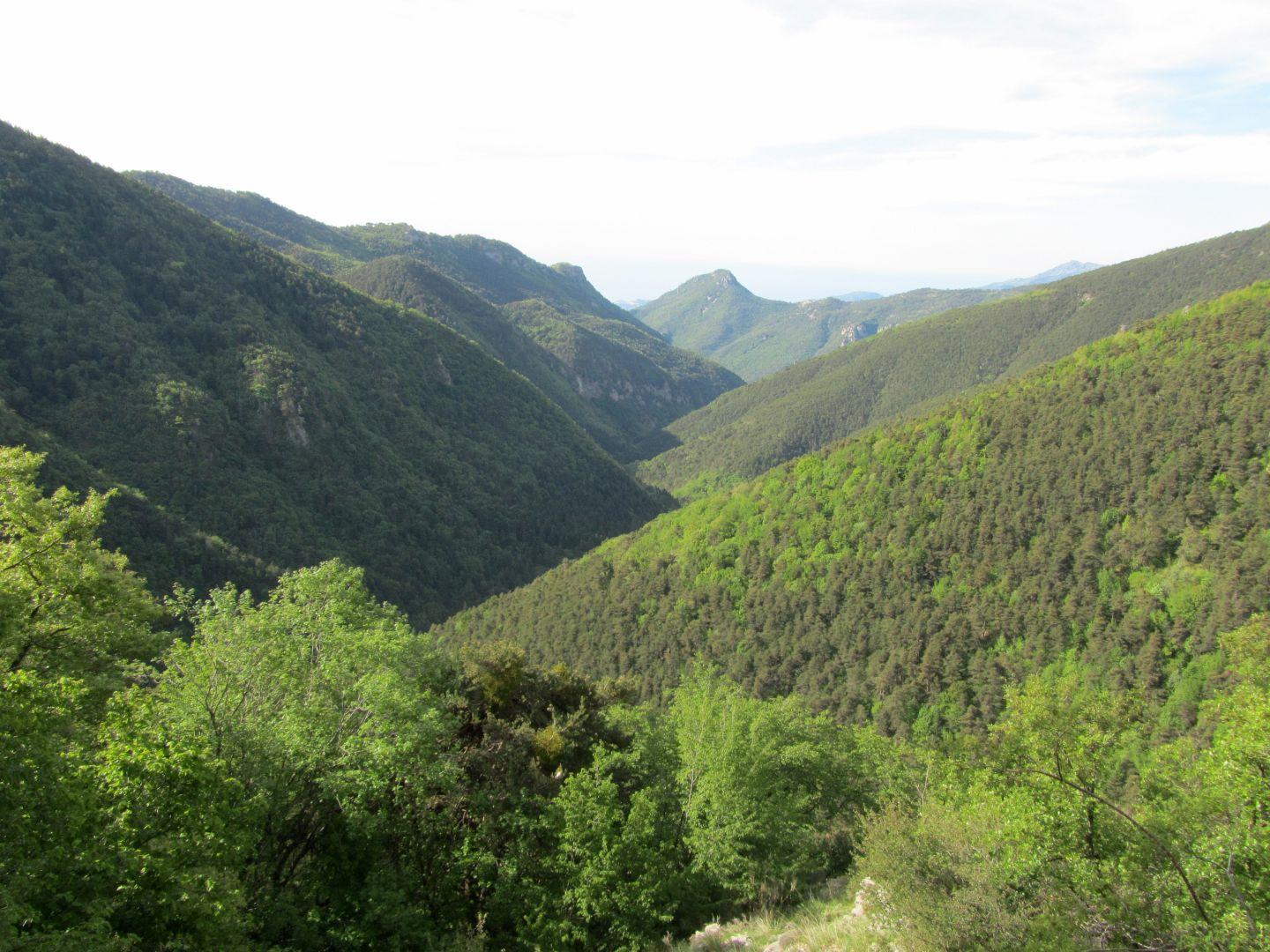 Al fondo, con la vetta a punta, il monte Abellio