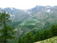 Vasivressa dal Monte Calvo