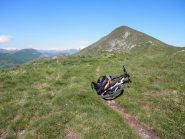 il galero si avvicina