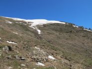 La Cressa incappucciata