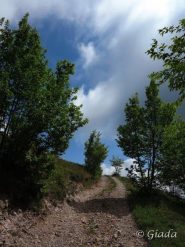 In salita sulla sterrata