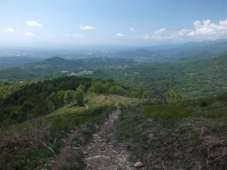 La dorsale di salita