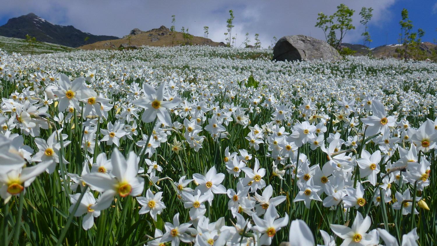 Quando la natura da spettacolo