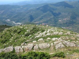 Pascoli sotto la cima