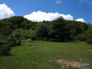Verso il crinale