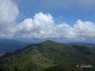 Il crinale verso il mare