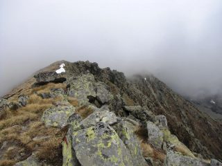 la cresta di salita