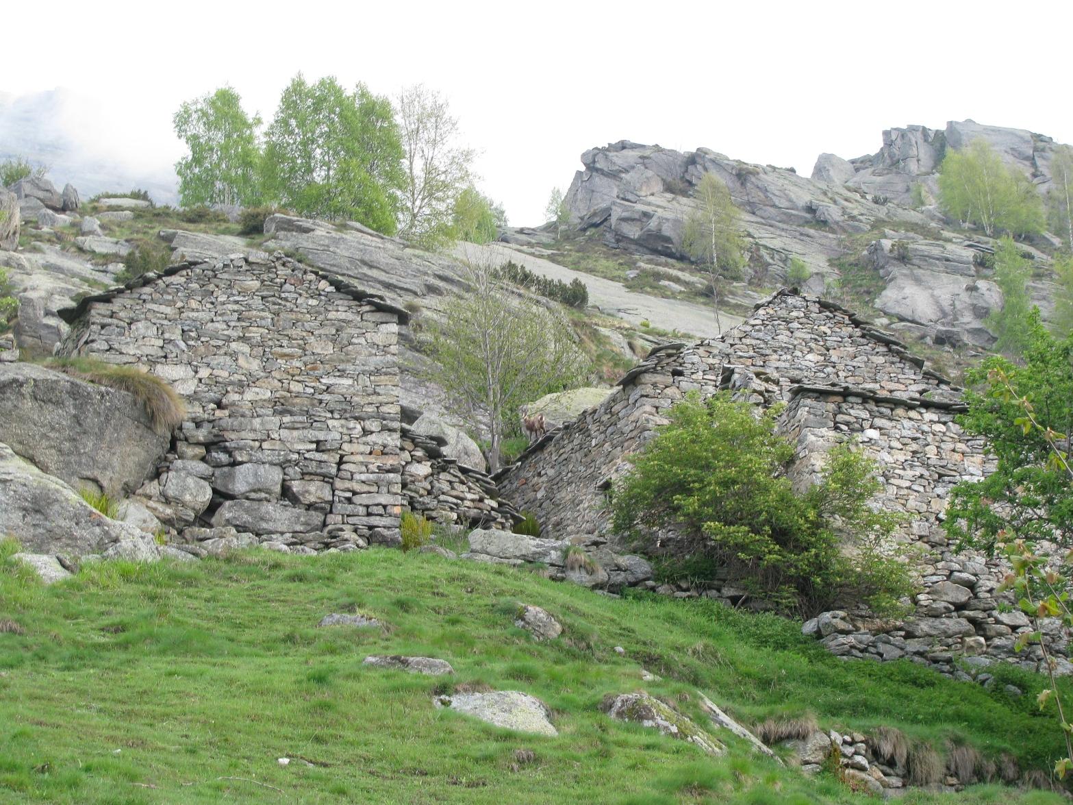 Arrivo all'Alpe Gessi