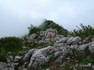 Sul crinale immerso nella nebbia