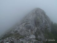 Nella nebbia ha anche il suo fascino