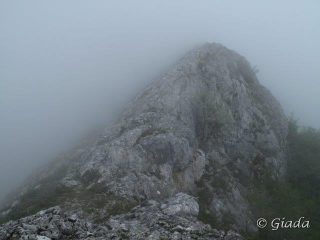 Nella nebbia ha anche il suo fascino