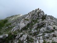 La bella cresta