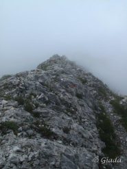 La bella cresta
