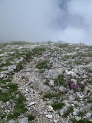 Brevi schiarite