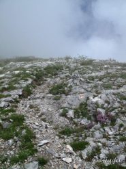 Brevi schiarite